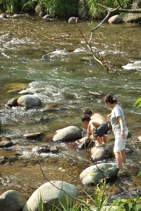 d0070641_2193259.jpg