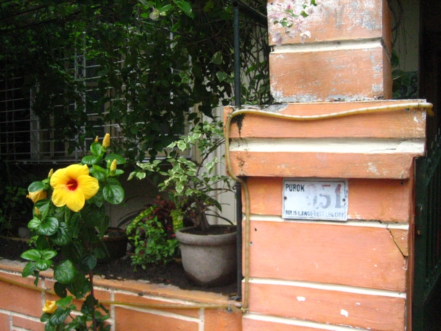 e0018143_1336691.jpg