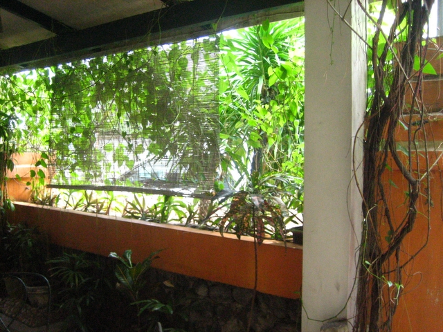 e0018143_133777.jpg