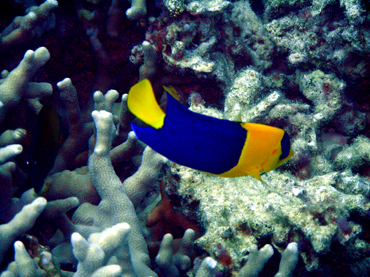 d0065247_22114288.jpg