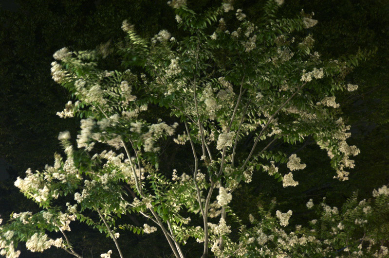 f0077849_10544266.jpg