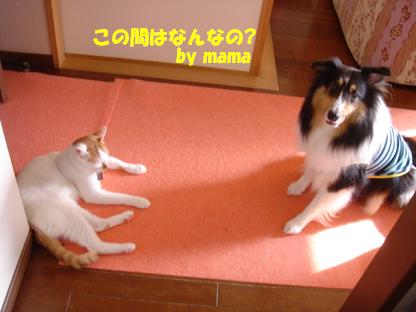 f0046854_19434452.jpg