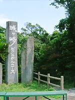 e0016955_1040195.jpg