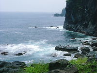 e0016955_1041554.jpg