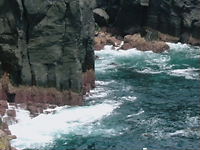 e0016955_1042369.jpg
