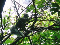 e0016955_104747100.jpg