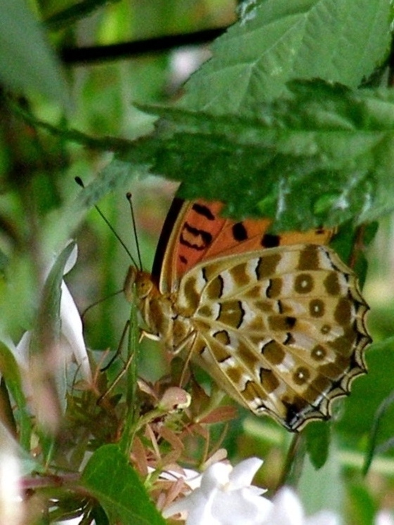 e0064158_0171096.jpg