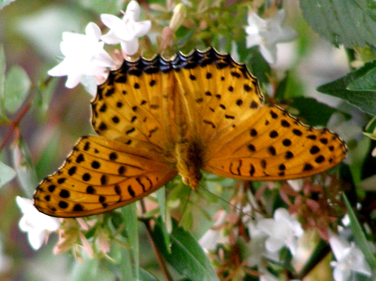 e0064158_022586.jpg