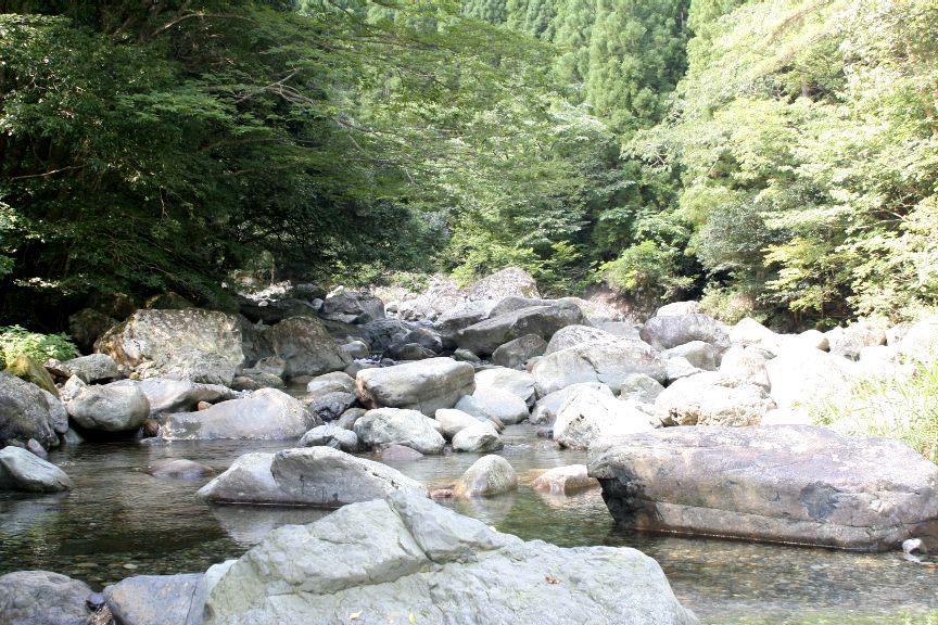 b0032262_2265572.jpg