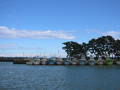 b0007571_7512421.jpg