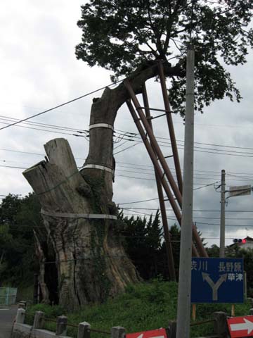 d0070473_14365981.jpg