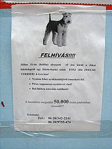 f0008573_0235799.jpg