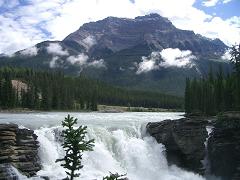 e0001279_749174.jpg