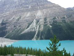 e0001279_750988.jpg