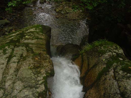 a0004180_23312250.jpg