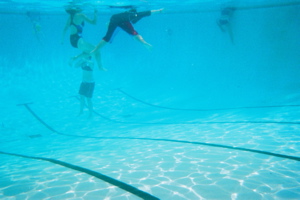 d0056490_1395755.jpg
