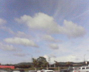 e0017290_2353570.jpg