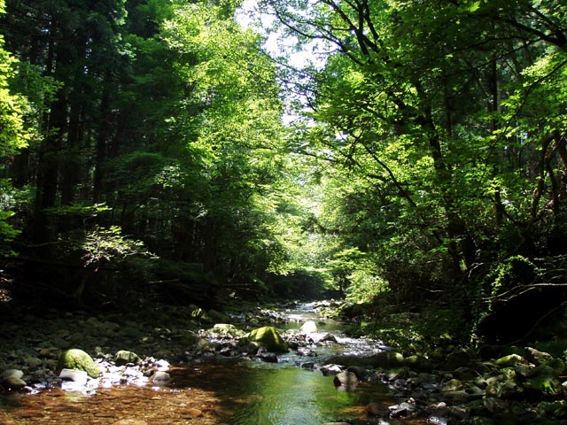 a0043395_18493070.jpg