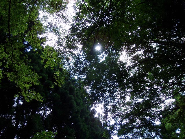 a0043395_18521234.jpg