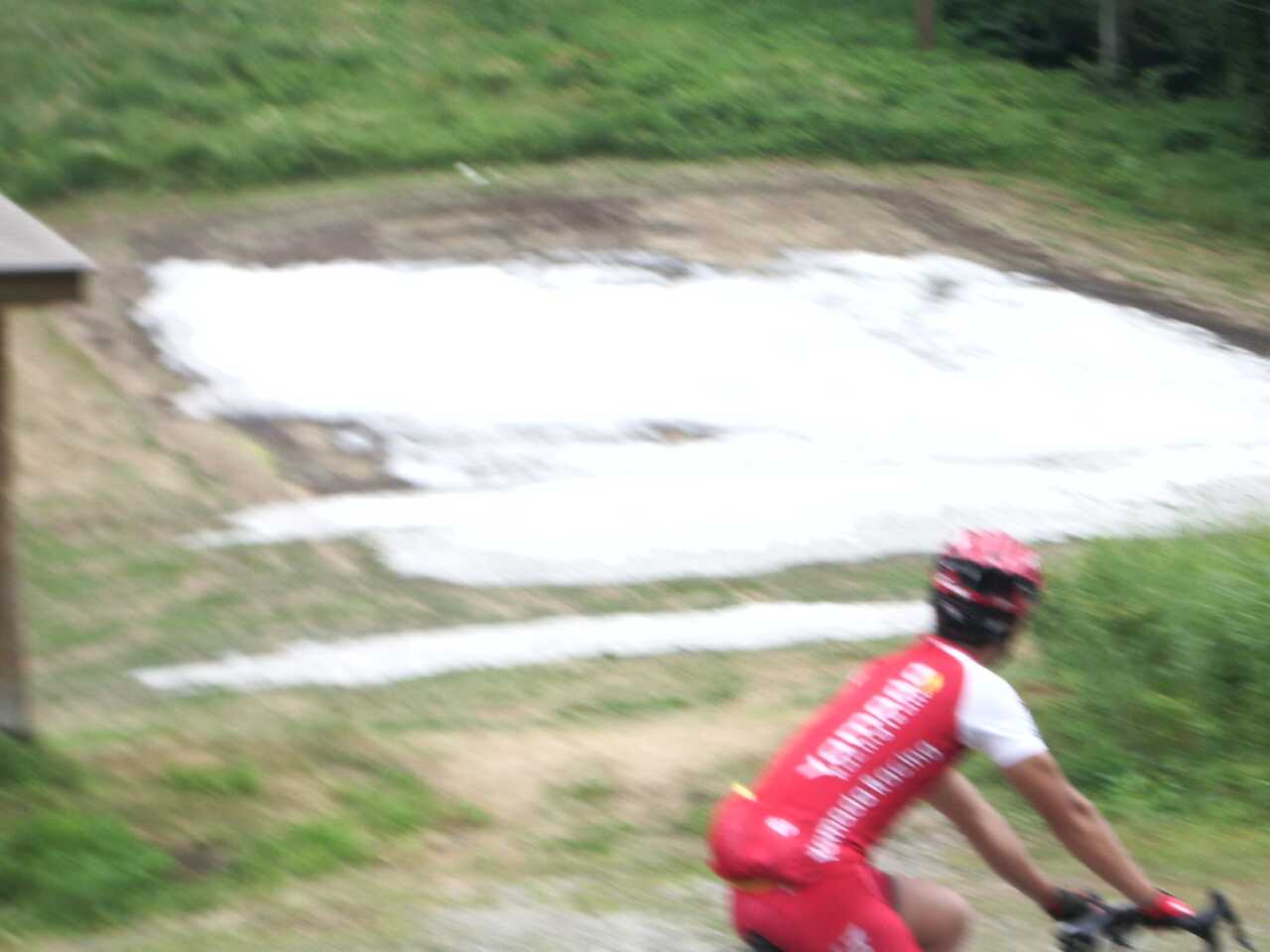 d0046502_23322613.jpg