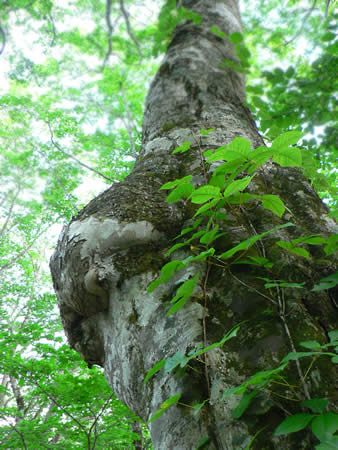d0035104_039198.jpg
