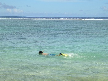 f0004309_12355699.jpg