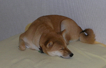 f0004309_12403654.jpg