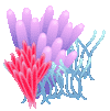 a0055913_8443494.gif