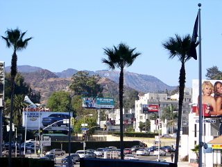 a0040916_1440892.jpg