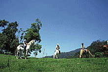 b0014416_21594319.gif