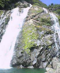 c0000816_2026584.jpg