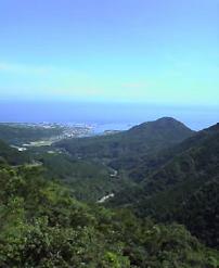 c0000816_21325731.jpg