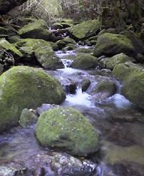 c0000816_2135163.jpg