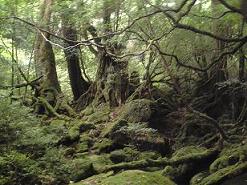 c0000816_21494782.jpg