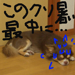 c0036617_18444990.jpg