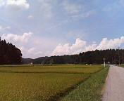 d0000820_2345782.jpg