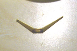 b0026822_114241.jpg