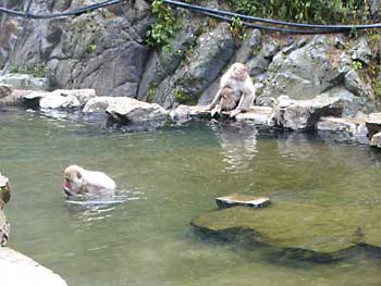 c0078322_512925.jpg