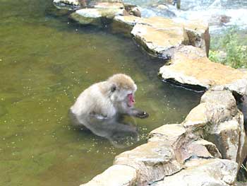 c0078322_515318.jpg