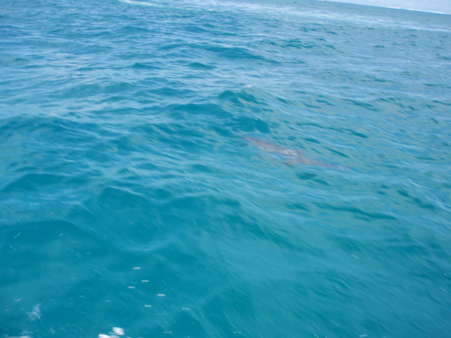 f0057324_17583232.jpg