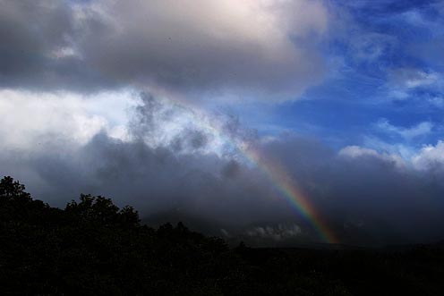 e0025030_1059194.jpg