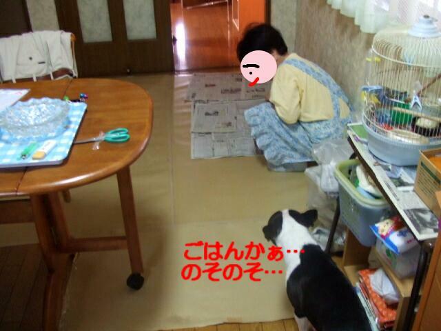 f0059334_918560.jpg