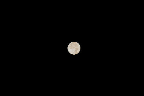 c0032138_13111532.jpg