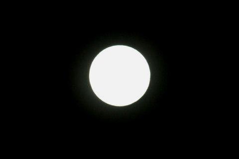 c0032138_138292.jpg