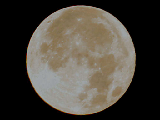 c0032138_1394577.jpg