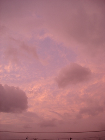 e0086642_857025.jpg