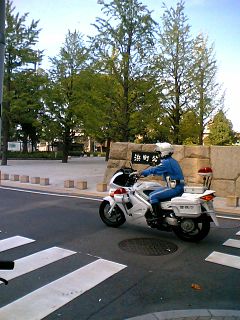 f0065842_17581650.jpg