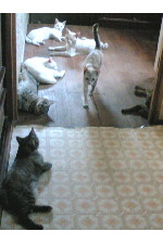 c0011446_16522871.jpg