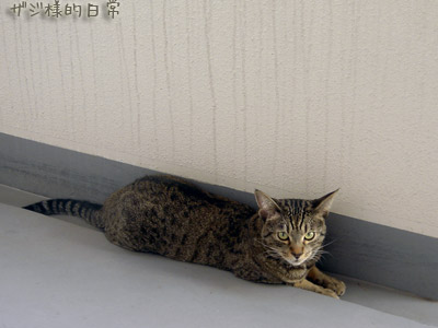 a0001964_17215575.jpg
