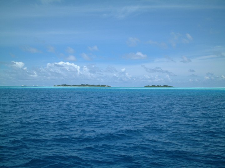 b0099274_11243291.jpg